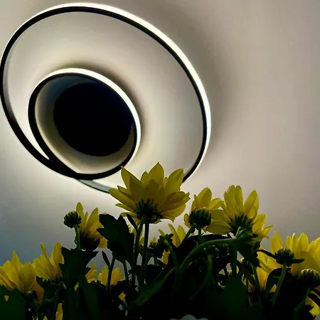 Leander House * Siofok