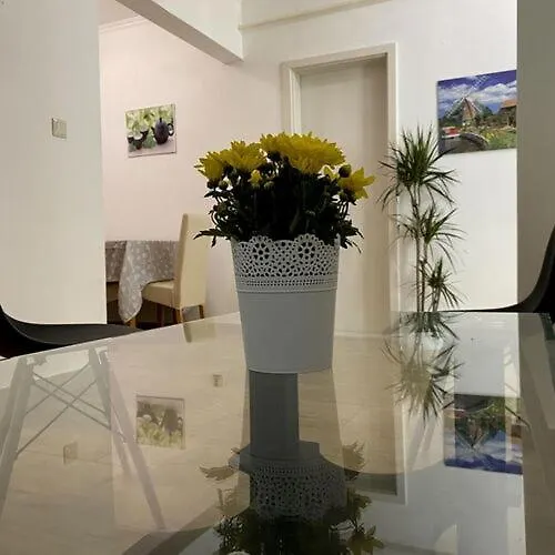 Leander House 招待所