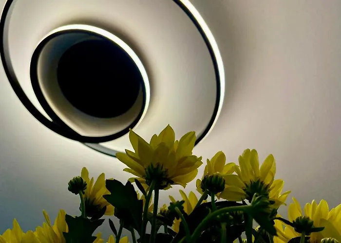 Leander House * 希欧福克